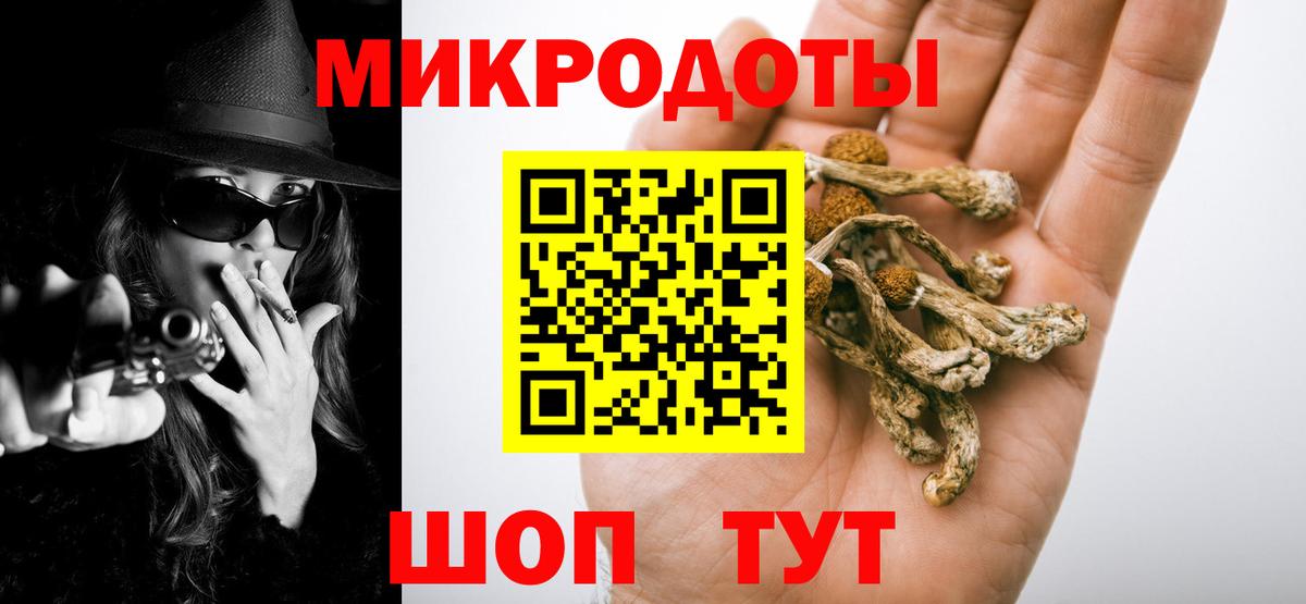 Гай  Галлюциногенные грибы Cubensis  Вход с VPN 